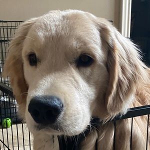 Meet your Posher, Archana